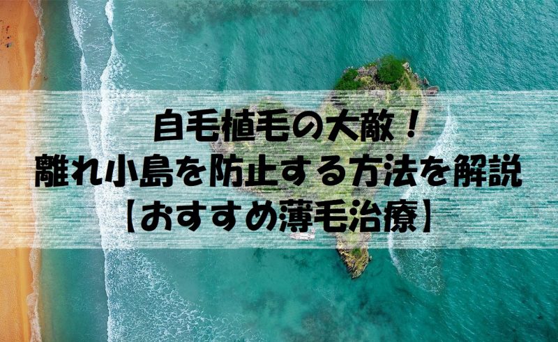 自毛植毛の大敵 離れ小島を防止する方法を解説 おすすめ薄毛治療 しろもふメンズ美容ラボ